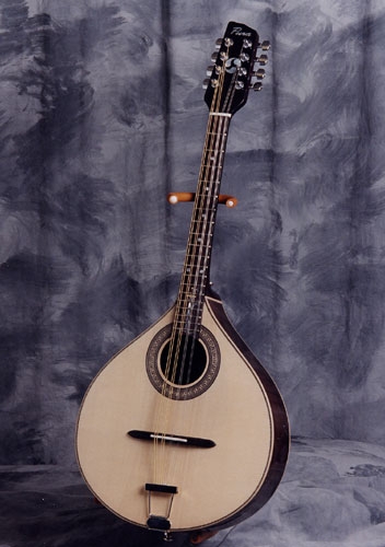 MODEL: Octave mandolin