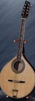 MODEL: Octave mandolin
